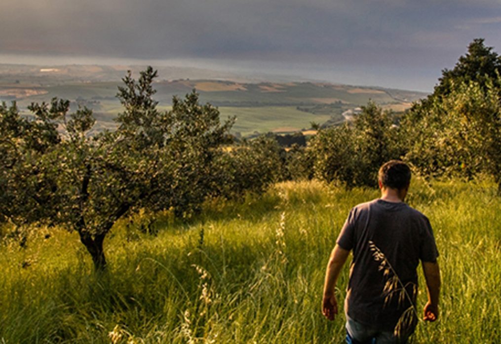 Ti presento: |  Stefano Azienda Agricola Benoni