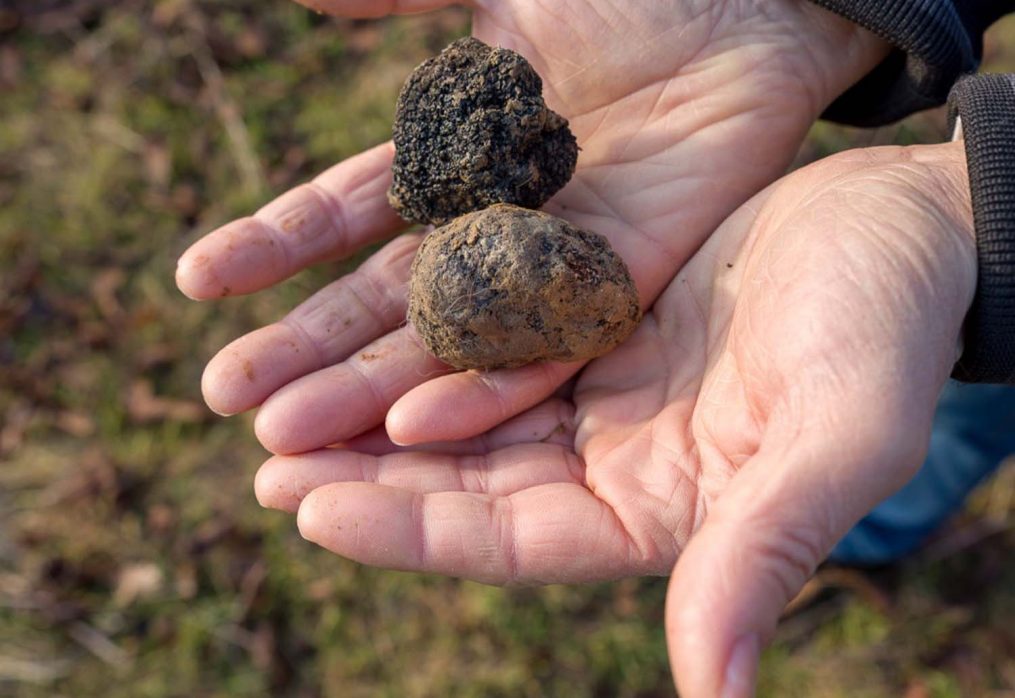 Come si diventa custode di un patrimonio agricolo?