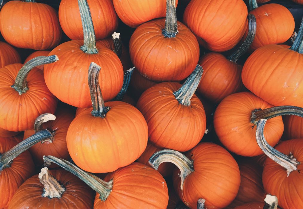 La zucca, colori e sapori d’autunno