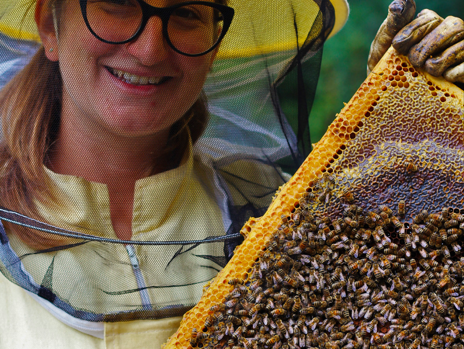 Un giorno da apicoltore sui colli bolognesi