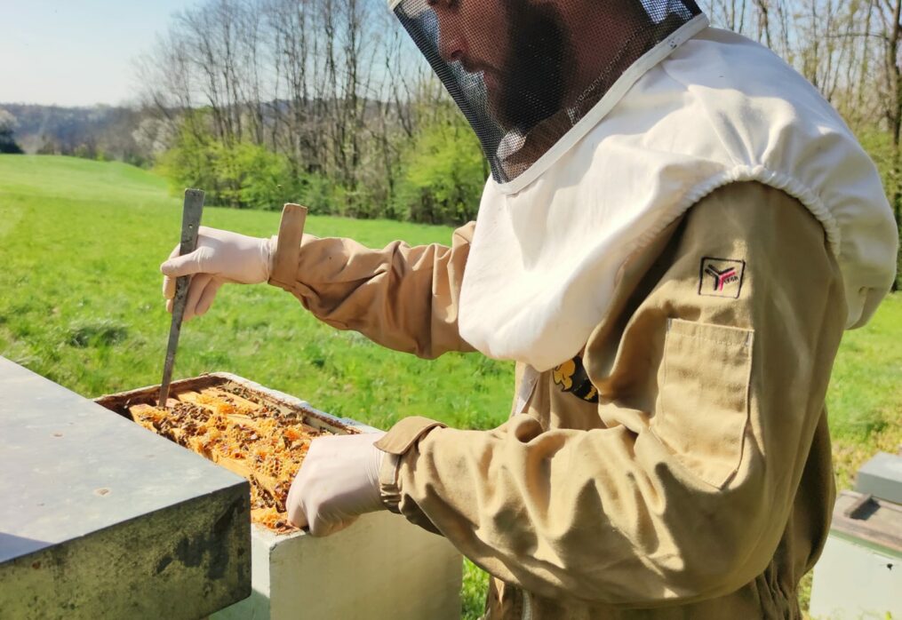 Sostieni l’Ass.apicoltori miele varesino Dop
